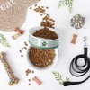 Bone Dry Pet Bowl - Paw Patch - 3 of 4