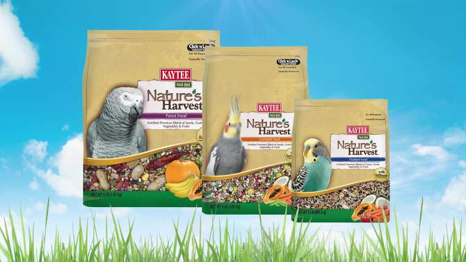 Kaytee Nature's Harvest Parakeet Food - 2lbs, 6 of 7, play video