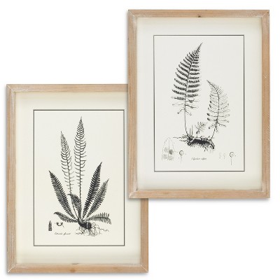 Lone Elm Studios Set of Two 15.75in H Black and White Fern Art in Wooden Frames