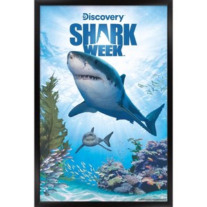 Trends International Shark Week - Shark Adventure Framed Wall Poster Prints - 1 of 4