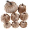 Aoibox 8pcs Assorted Size Velvet Artificial Champagne Pumpkins 5.9in 3.9in 3.5in 3in Fall Harvest Halloween Thanksgiving Decor - 2 of 4