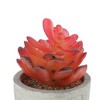 Unique Bargains Artificial Plants New Lotus in Mini Pulp 2.76"x2.76"x4.53" 1 Pc - 4 of 4