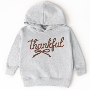 Thankful Coquette Distressed - Toddler Hoodie and Youth Graphic Hoodie - 1 of 3