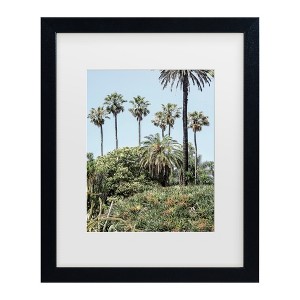 Trademark Fine Art - Shot by Clint Collectors Garden Matted Framed Art - 1 of 4
