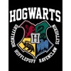 Harry Potter Hogwarts Houses Pride Black T-shirt Toddler Boy to Youth Boy - 2 of 3