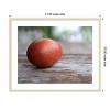 Amanti Art Egg on Wood by Tania Soderman Wood Framed Wall Art Print - 3 of 4