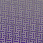 minnesota vikings