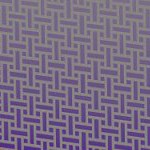 minnesota vikings