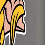minnesota vikings