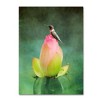 Trademark Fine Art -Jai Johnson 'Hummingbird And The Lotus Flower' Canvas Art - 2 of 3