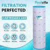 Poolzilla Replacement Pool Filter for Jandy CS200, PJANCS200, R0462400, Unicel C-8418, Filbur FC-0823, Aladdin 35002, 200 - 4 of 4