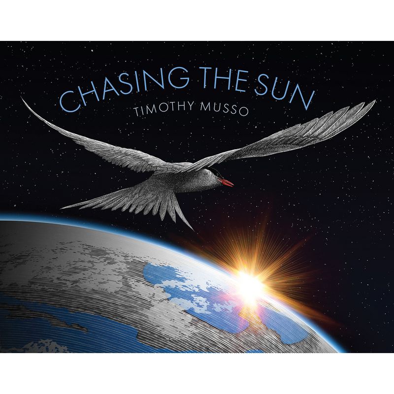 Chasing the Sun - by Timothy Musso, 1 of 2