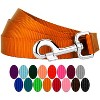 Country Brook Petz 6ft By 1 Inch Heavyduty Doublehandle Nylon Leash - 2 of 4