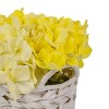 10" Artificial Light Yellow Hydrangea Arrangement in Basket - National Tree Company - image 3 of 3