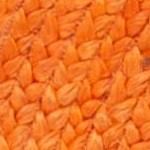 orange/natural