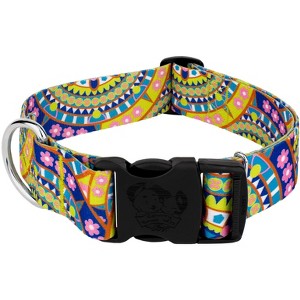 Country Brook Petz HossFit Jr Wide Deluxe Dog Collar - Groovy Collection - 1 of 4
