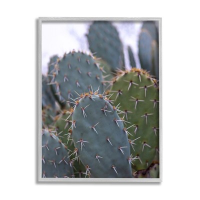 Stupell Prickly Cactus Desert Photography Framed Giclee