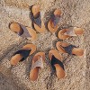 The Sak Women's Shana Sandal - 2 of 4