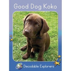 Good Dog Koko - (Red Rocket (Tm) Readers Decodable Explorers) by  Rachel Walker (Paperback) - 1 of 1