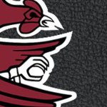 south carolina gamecocks