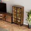 Curio Cabinet with Adjustable Shelves,15.75"D x 31.50"W x 63.00"H,Walnut - 4 of 4