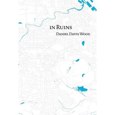 In Ruins - by  Daniel Davis Wood (Hardcover)