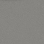 washington state cougars