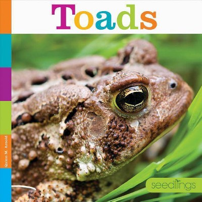 Toads - (Seedlings: Backyard Animals) by  Quinn M Arnold (Paperback)