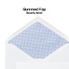 Staples Security-Tint Gummed #6-3/4" Envelopes 250/Box (317321/19254) - 2 of 4