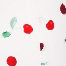 cherry amour c01