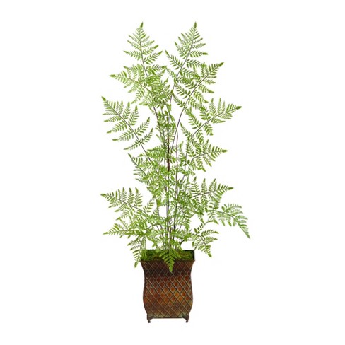 14 X 13 3pc Artificial Ferns With Planter Set - Nearly Natural : Target