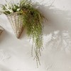 Melrose Foliage Twig Swag (Set of 2) - 3 of 4