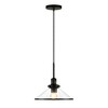 Hudson and Canal 12.25" Wide Pendant with Glass Shade Blackened Bronze/Clear: UL Listed, 60W, E26 Base, Adjustable Height - 3 of 4