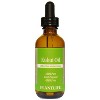 Plantlife Kukui Carrier Oil - Cold Pressed, Non-GMO, and Gluten-Free Carrier Oil for Skin, Hair, and Personal Care - 3 of 4