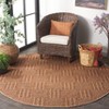 Wicker WCK154 UV & Stain Resistant Non-Shedding Power Loomed Indoor/Outdoor Rugs - Safavieh - 3 of 4