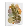 Stupell Industries Abstract Fern & Pebbles, 24" x 30" - 3 of 4