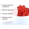 Syruvia Pomegranate Popping Boba Pearls – 7 lb - 3 of 4