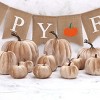 Aoibox 8pcs Assorted Size Velvet Artificial Champagne Pumpkins 5.9in 3.9in 3.5in 3in Fall Harvest Halloween Thanksgiving Decor - 4 of 4