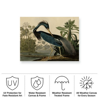Louisiana Heron All-Weather Outdoor Canvas Wall Art