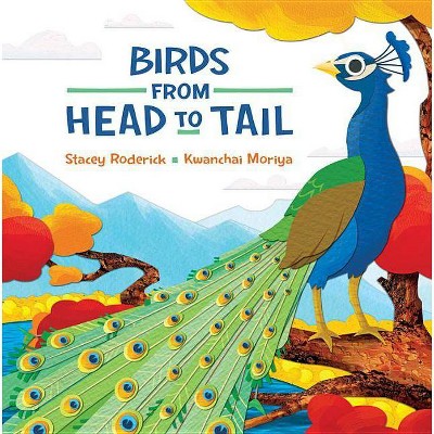 Birds from Head to Tail - by  Stacey Roderick (Hardcover)