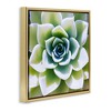 Stupell Industries Green Succulent Nature Close Up, 25" x 25" - 3 of 4
