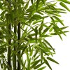 Nearly Natural 5-ft Bamboo Tree UV Resistant (Indoor/Outdoor) - 3 of 3