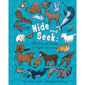 Hide and Seek - by  Caroline Fernandez (Paperback) - 1 of 1
