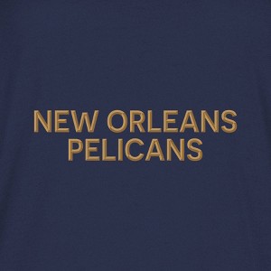NBA New Orleans Pelicans Women's Long Sleeve Hooded Sweatshirt - 1 of 4