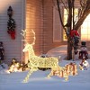 LuxenHome Outdoor Christmas Reindeer Decor, Lighted Holiday Yard Display with Timer White - 2 of 4