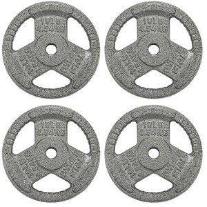 Kumasinova 1" Dia Standard Cast Iron Weight Plates,Gray Baked Enamel Finish Barbell Plates,Many Options - 1 of 4