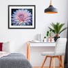 Stupell Industries Dew Kissed Pink Chrysanthemum Framed Print Under Glass - 3 of 4
