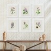 Plum & Post Flower Study Prints Set of 6 - 4 of 4