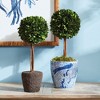 Plum & Post Boxwood Single Sphere Topiary Drop-In 16" - 4 of 4