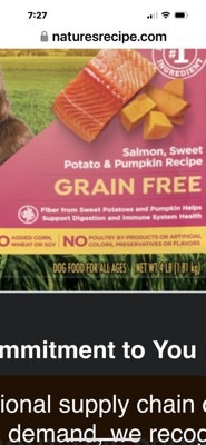 Nature's Recipe Grain Free Salmon, Sweet Potato & Pumpkin Recipe Dry ...